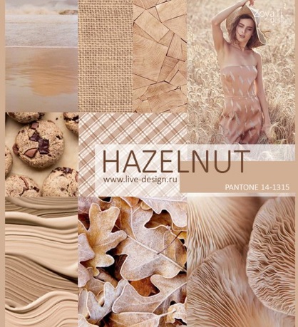 Hazelnut – Spring/Summer 2017 Color Trends