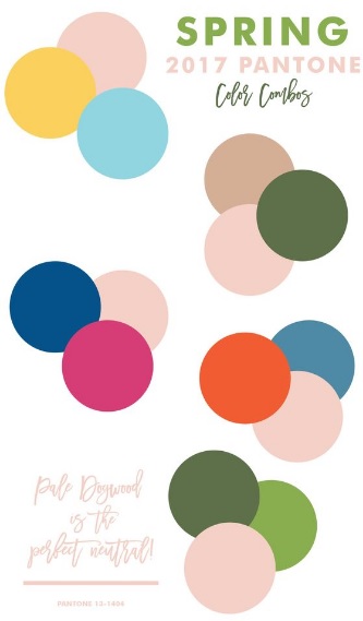 Pale Dogwood – Spring/Summer 2017 Color Trends