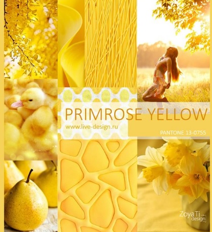 Primrose Yellow – Spring/Summer 2017 Color Trends