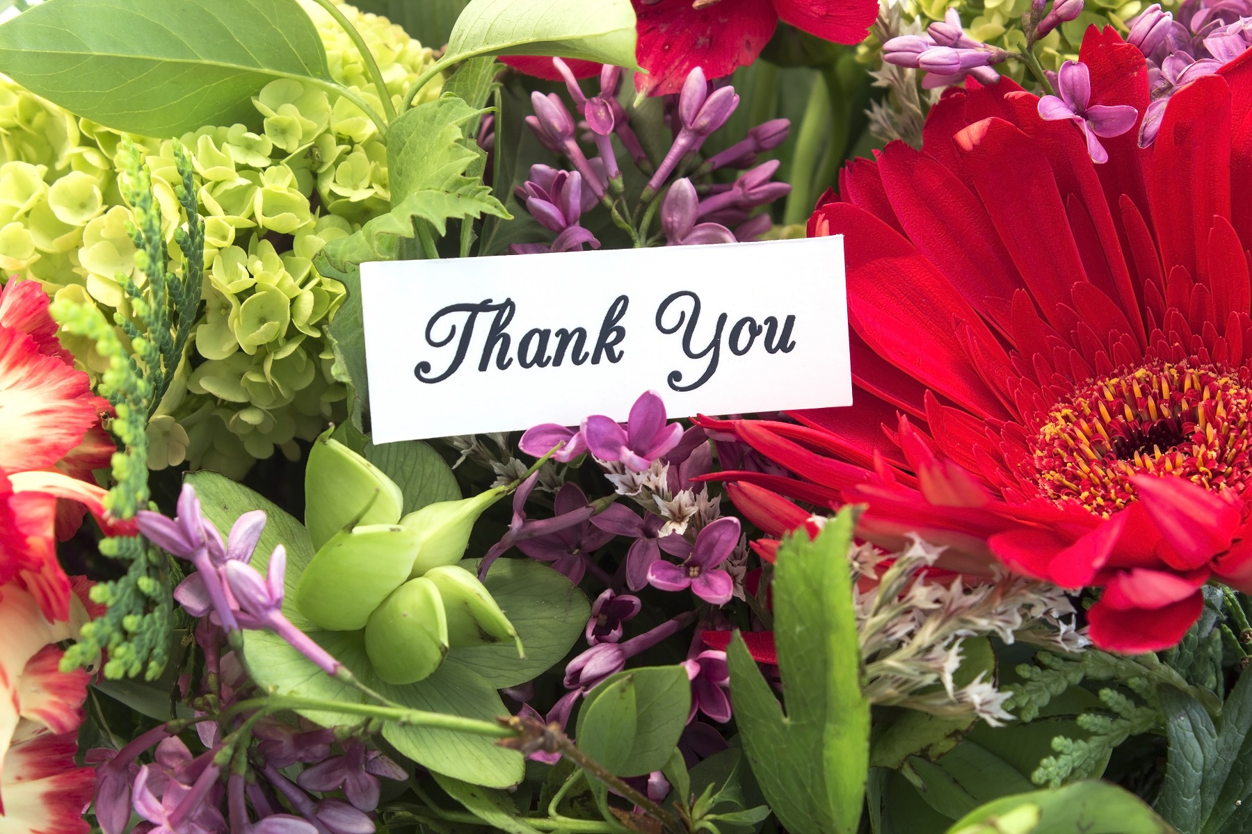 Thank you card